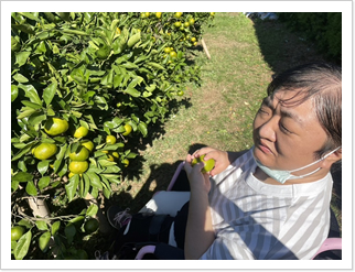 �݂�����ʐ^